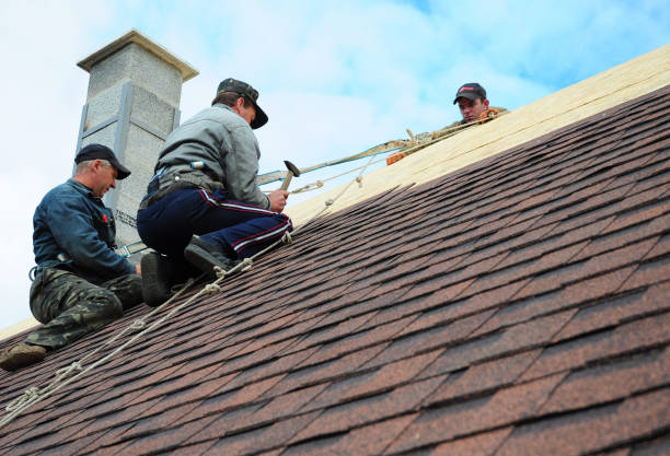 Best Roof Leak Repair  in Walnutport, PA